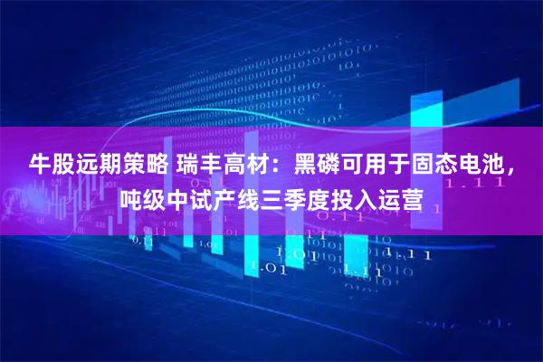 牛股远期策略 瑞丰高材：黑磷可用于固态电池，吨级中试产线三季度投入运营
